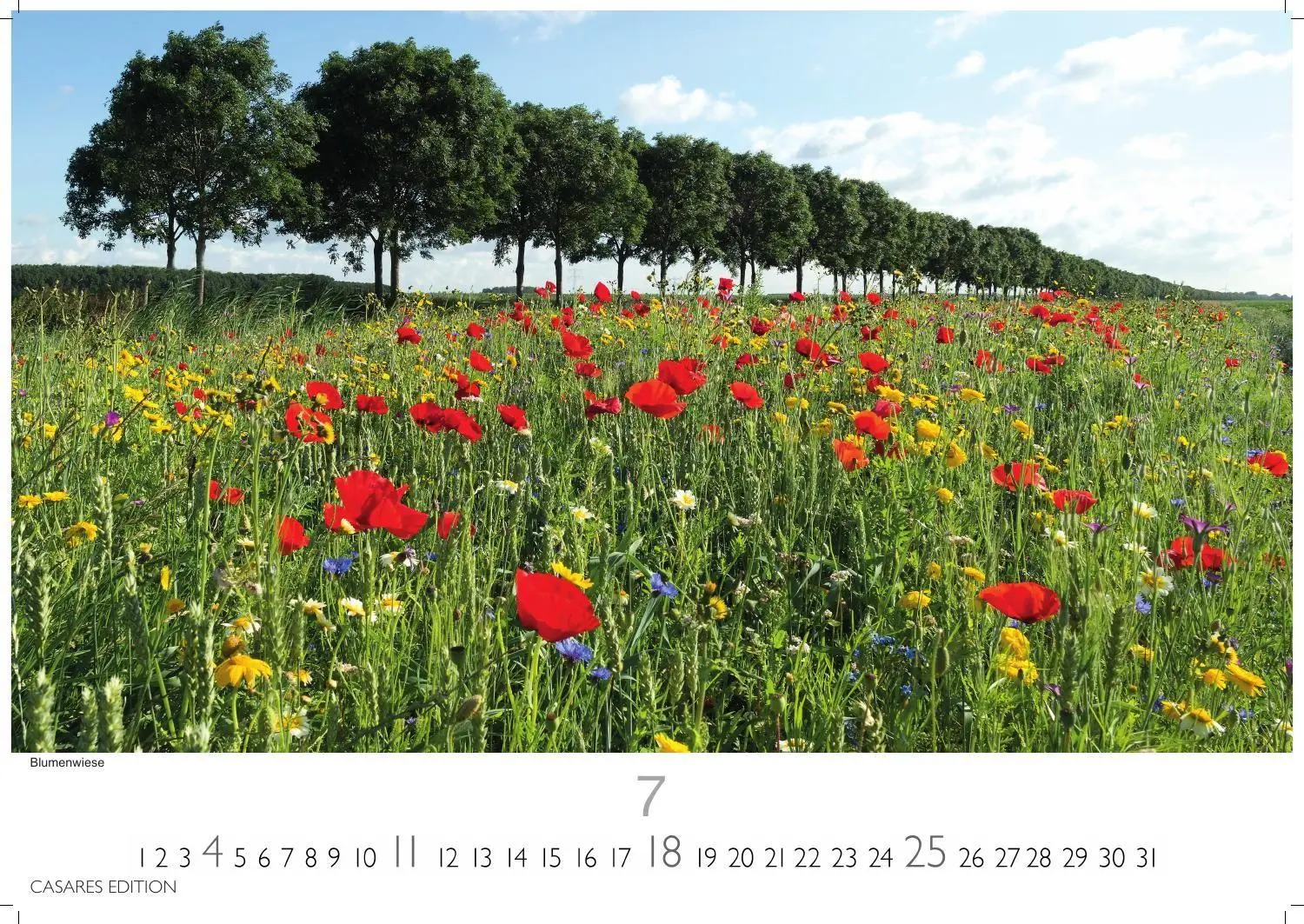 Bild: 9781835248126 | Niederlande Kalender 2027 - Wandkalender Fotokalender Mitteleuropa...