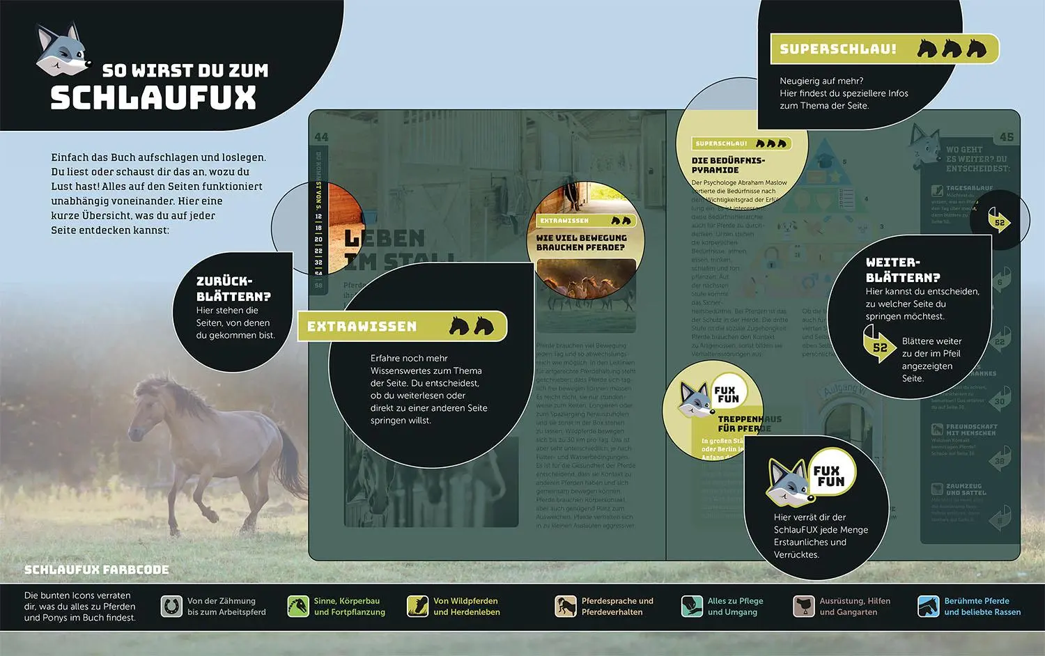 Bild: 9783440178126 | Kosmos SchlauFUX - Pferde und Ponys | Gudrun Braun | Buch | 64 S.