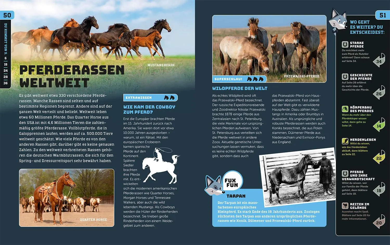 Bild: 9783440178126 | Kosmos SchlauFUX - Pferde und Ponys | Gudrun Braun | Buch | 64 S.