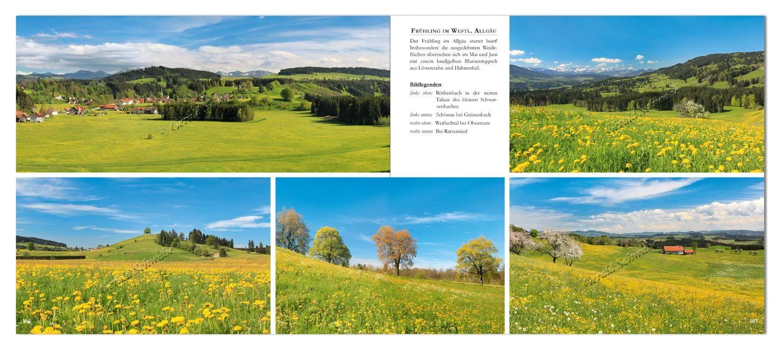 Bild: 9783949988226 | Allgäu | Gerald Schwabe | Taschenbuch | 120 S. | Deutsch | 2026