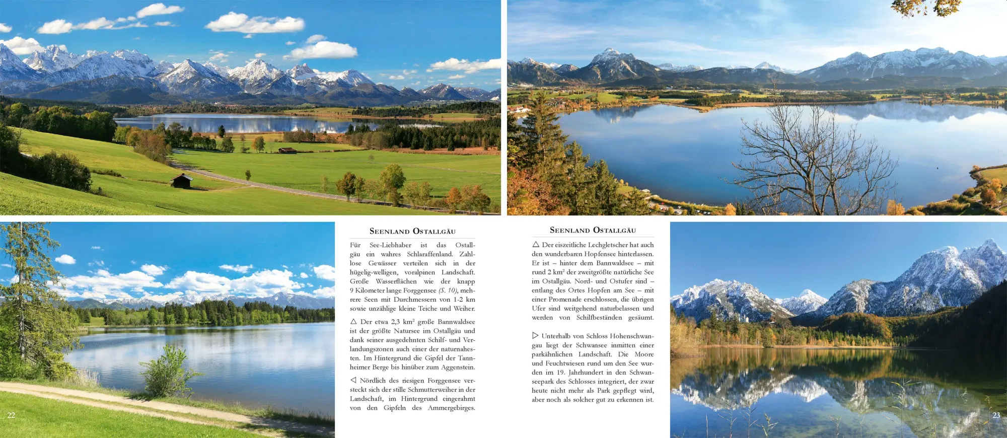 Bild: 9783949988226 | Allgäu | Gerald Schwabe | Taschenbuch | 120 S. | Deutsch | 2026