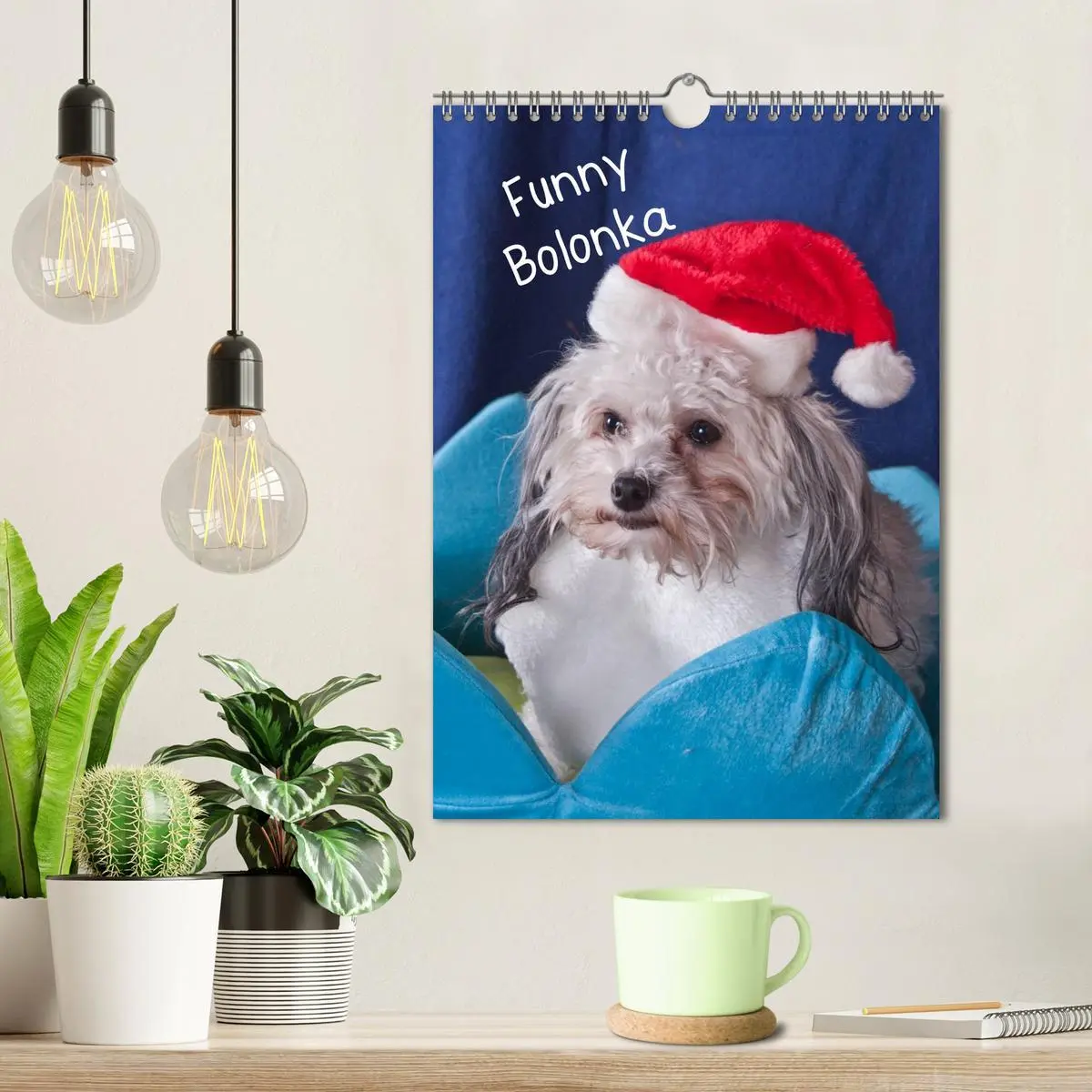 Bild: 9783516488326 | Funny Bolonka (Wandkalender 2026 DIN A4 hoch), CALVENDO Monatskalender