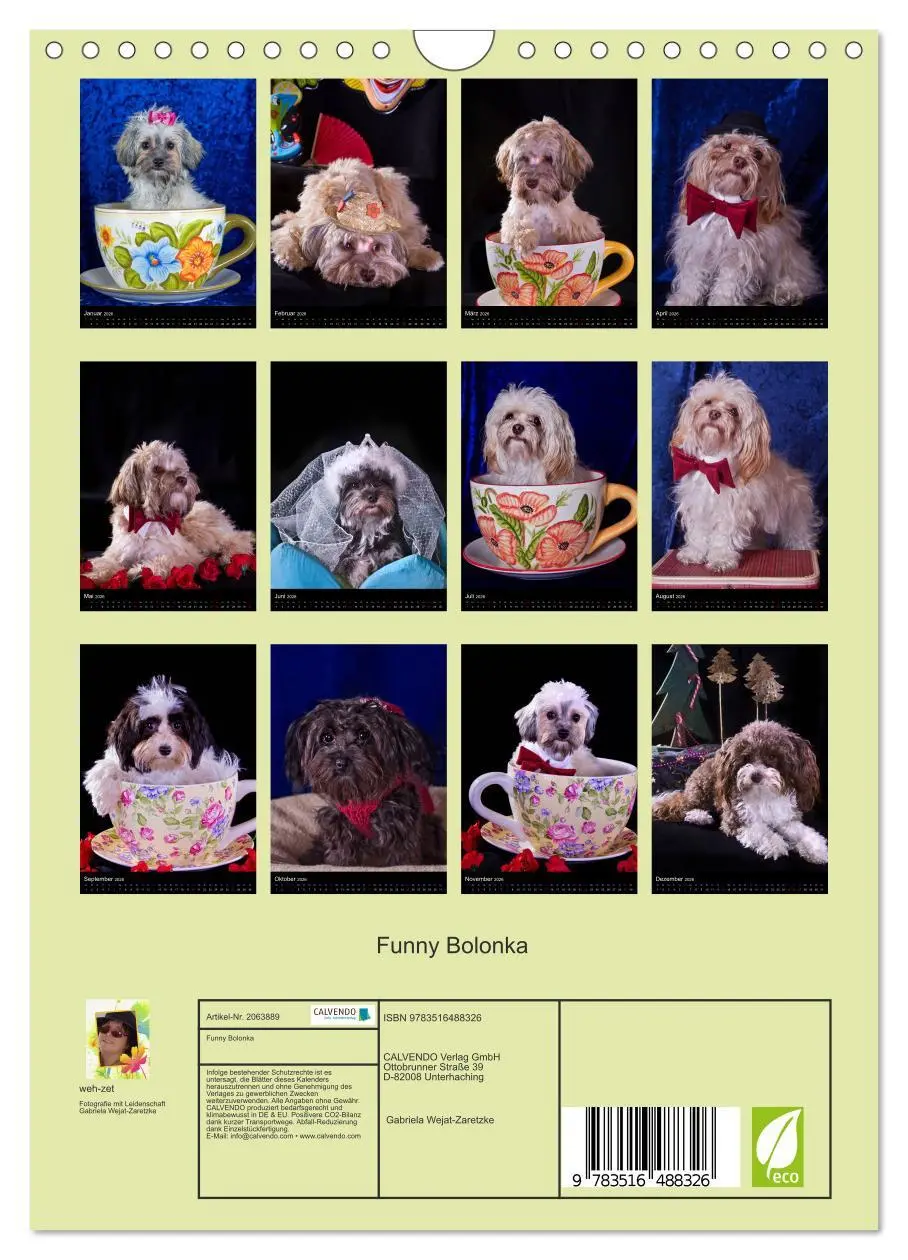 Bild: 9783516488326 | Funny Bolonka (Wandkalender 2026 DIN A4 hoch), CALVENDO Monatskalender