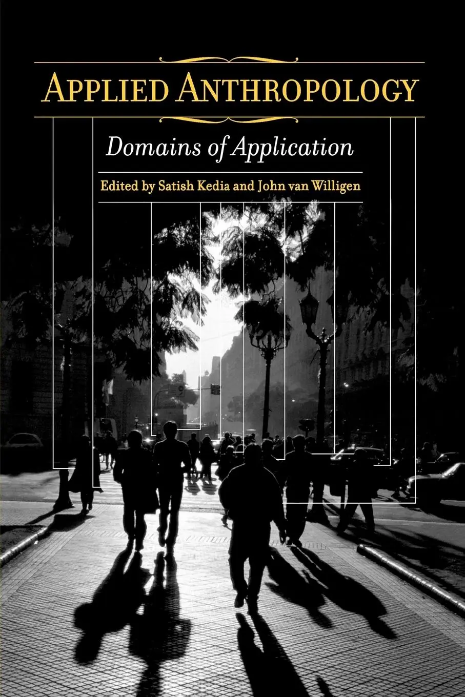 Cover: 9780275978426 | Applied Anthropology | Domains of Application | Satish Kedia | Buch