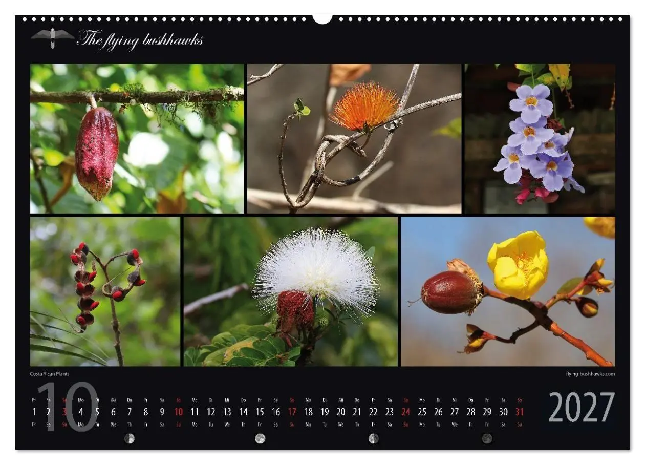 Bild: 9783516788426 | Costa Rica Blickwinkel 2027 (Wandkalender 2027 DIN A2 quer),...
