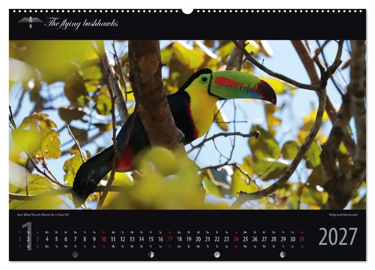 Bild: 9783516788426 | Costa Rica Blickwinkel 2027 (Wandkalender 2027 DIN A2 quer),...
