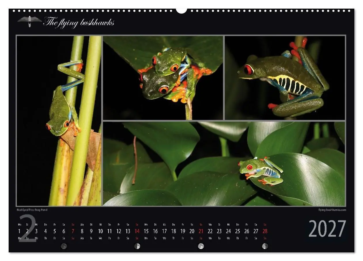 Bild: 9783516788426 | Costa Rica Blickwinkel 2027 (Wandkalender 2027 DIN A2 quer),...