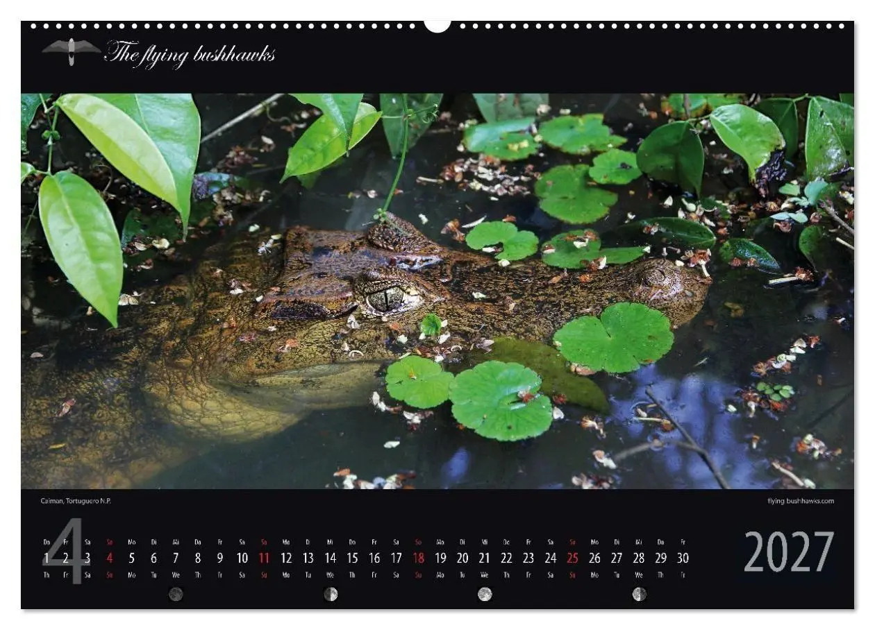 Bild: 9783516788426 | Costa Rica Blickwinkel 2027 (Wandkalender 2027 DIN A2 quer),...