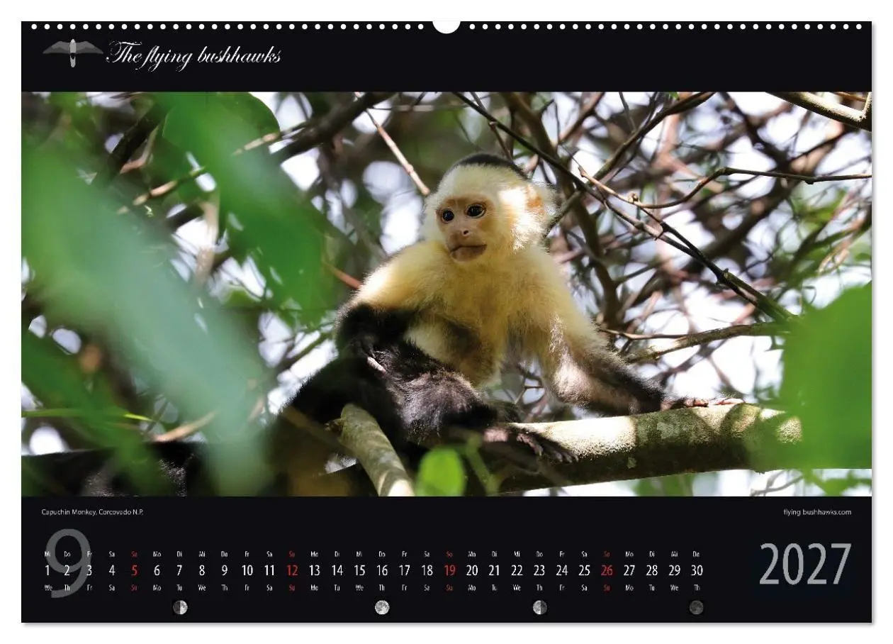 Bild: 9783516788426 | Costa Rica Blickwinkel 2027 (Wandkalender 2027 DIN A2 quer),...