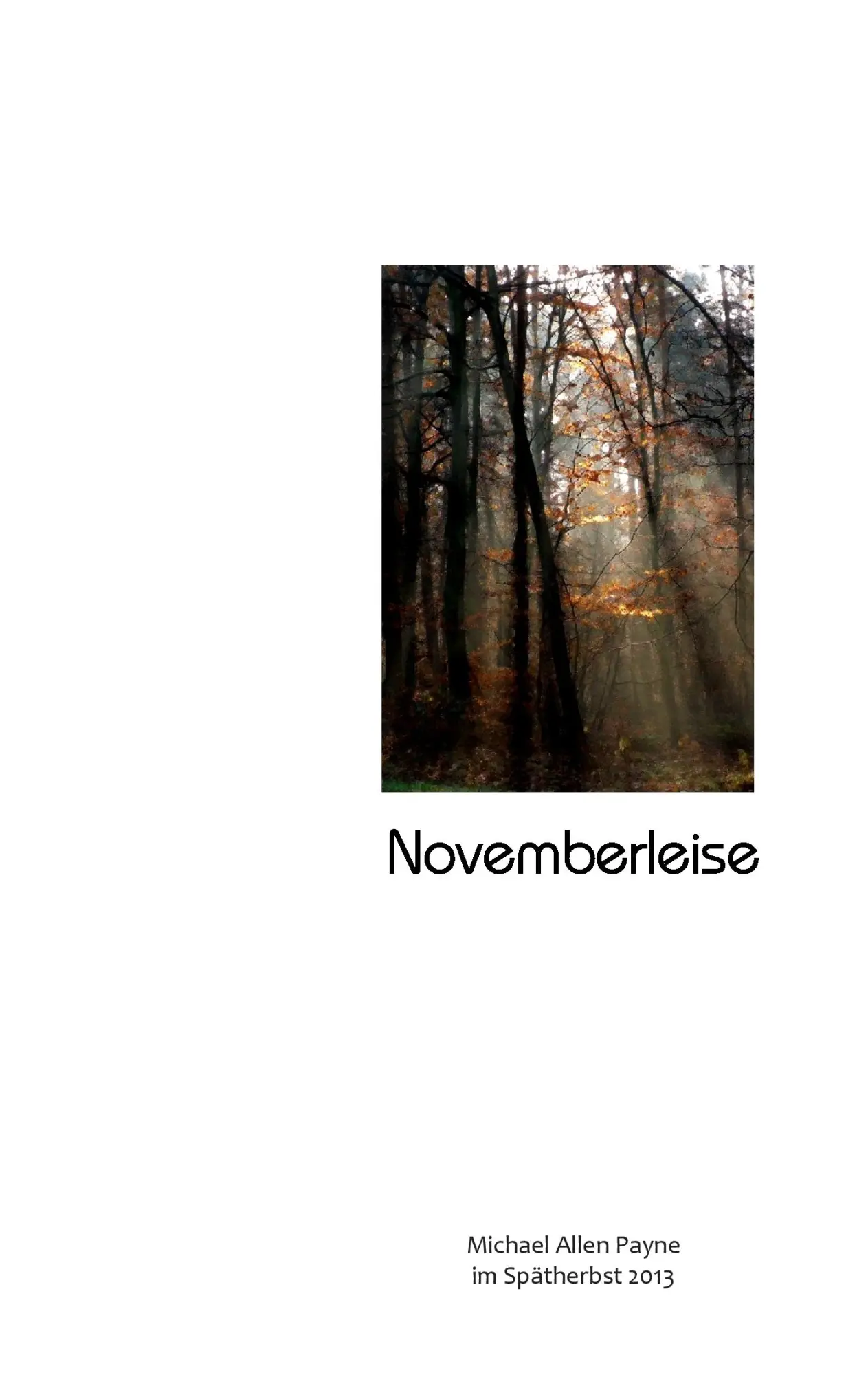 Cover: 9783732298426 | Novemberleise | Michael Allen Payne | Taschenbuch | 48 S. | Deutsch
