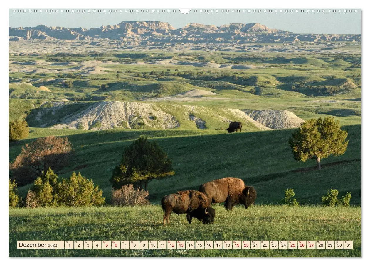 Bild: 9783457378526 | Sioux Im Lande von Sitting Bull (Wandkalender 2026 DIN A2 quer),...