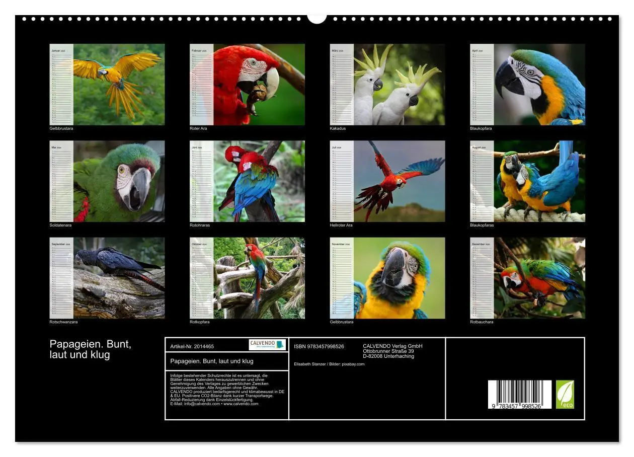 Bild: 9783457998526 | Papageien. Bunt, laut und klug (hochwertiger Premium Wandkalender...