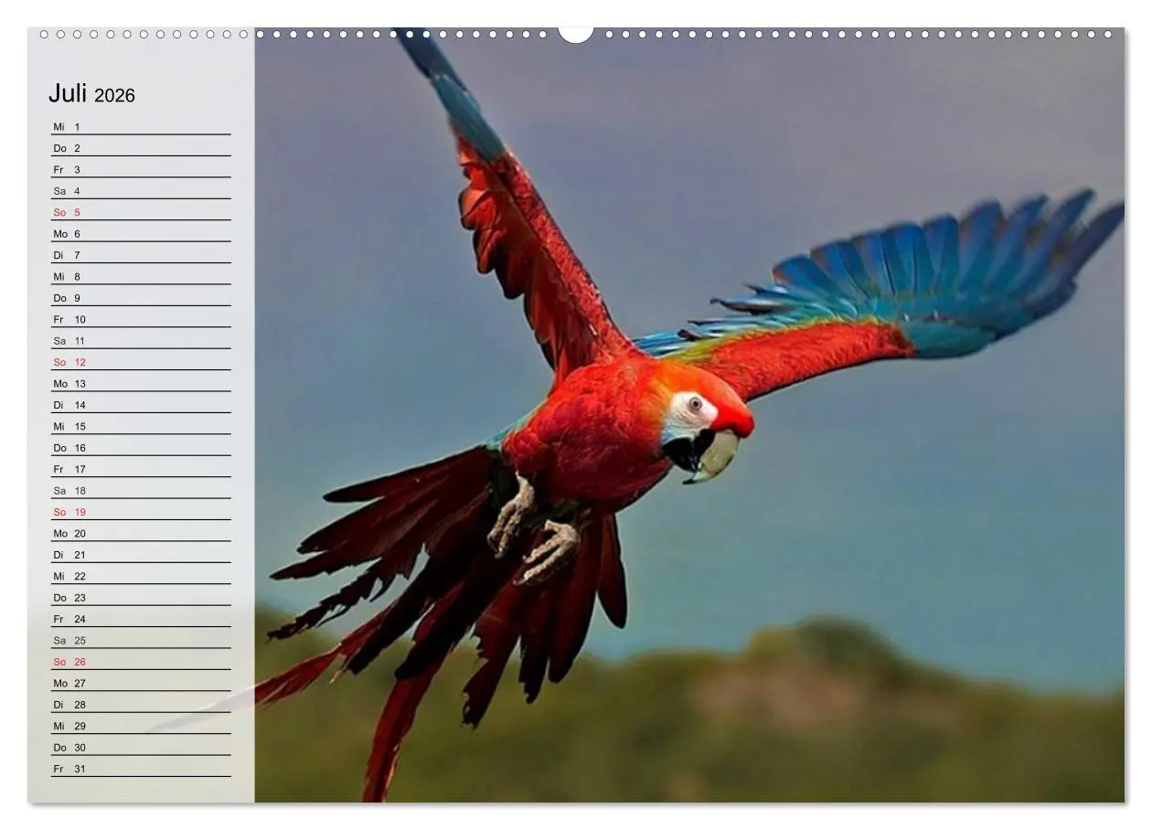 Bild: 9783457998526 | Papageien. Bunt, laut und klug (hochwertiger Premium Wandkalender...