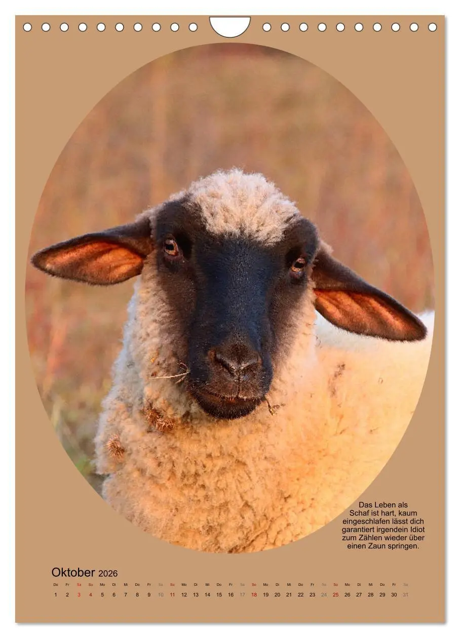 Bild: 9783516398526 | Scharfe Portraits (Wandkalender 2026 DIN A4 hoch), CALVENDO...