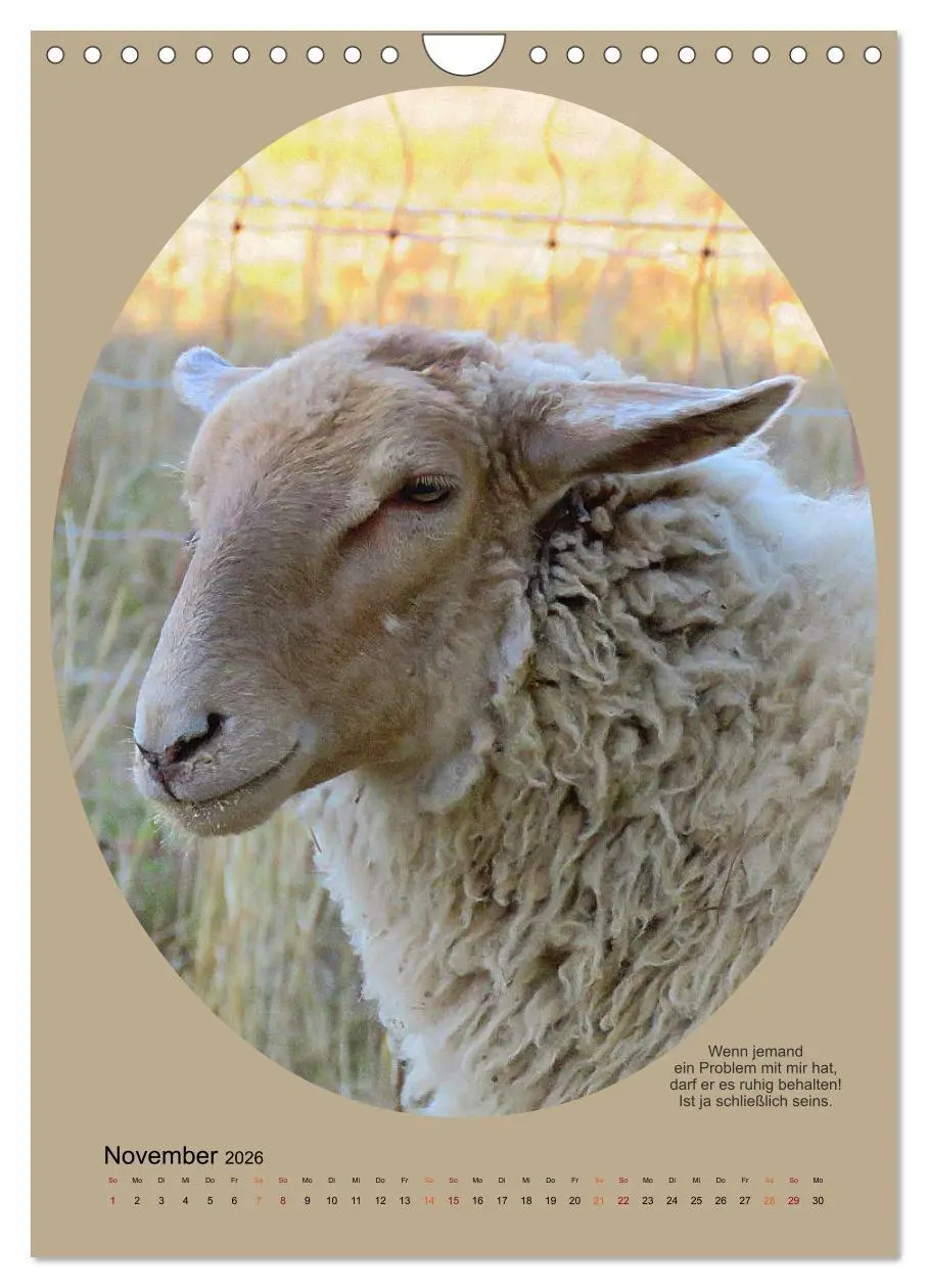 Bild: 9783516398526 | Scharfe Portraits (Wandkalender 2026 DIN A4 hoch), CALVENDO...