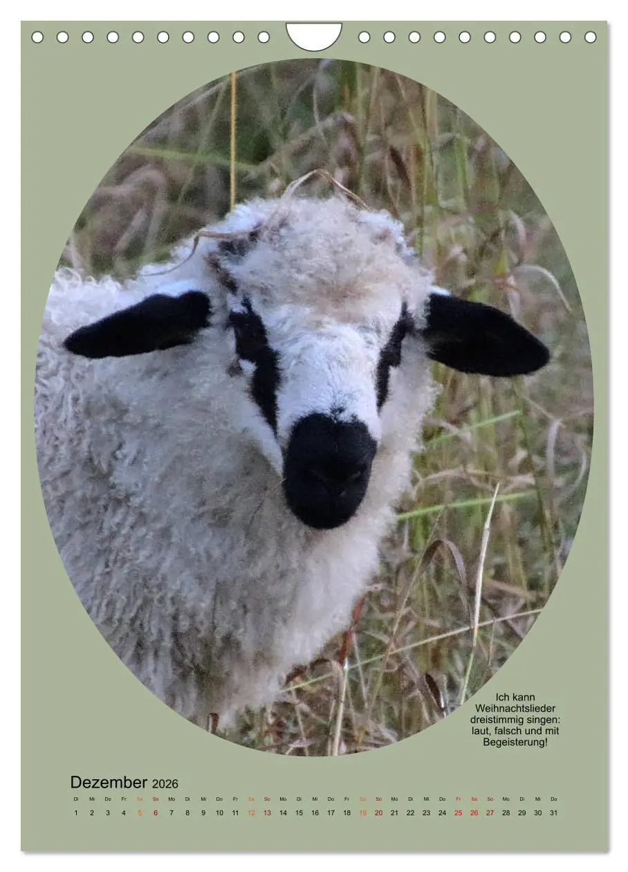 Bild: 9783516398526 | Scharfe Portraits (Wandkalender 2026 DIN A4 hoch), CALVENDO...