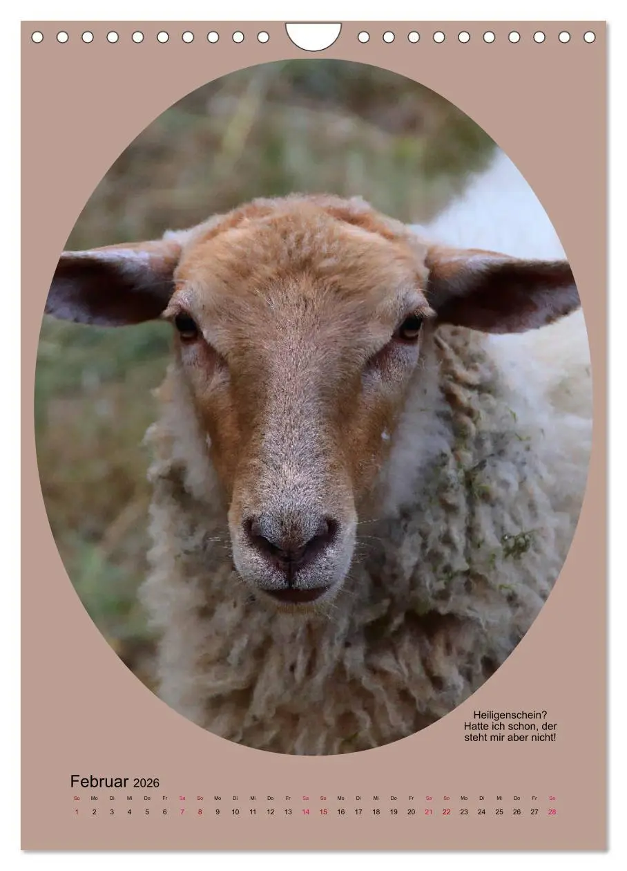 Bild: 9783516398526 | Scharfe Portraits (Wandkalender 2026 DIN A4 hoch), CALVENDO...