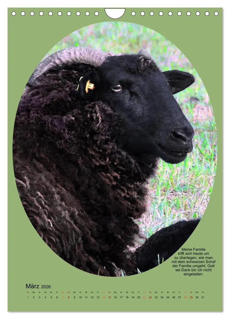Bild: 9783516398526 | Scharfe Portraits (Wandkalender 2026 DIN A4 hoch), CALVENDO...