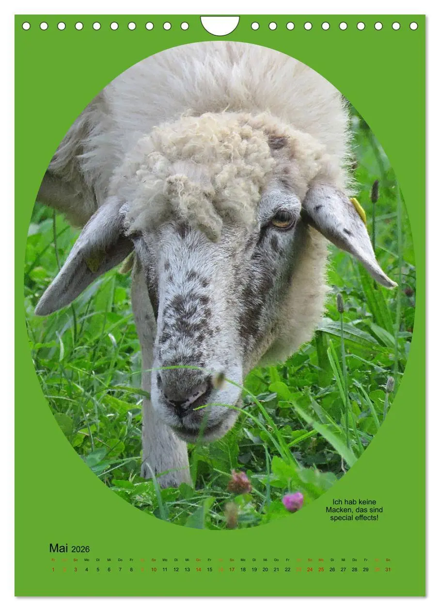 Bild: 9783516398526 | Scharfe Portraits (Wandkalender 2026 DIN A4 hoch), CALVENDO...