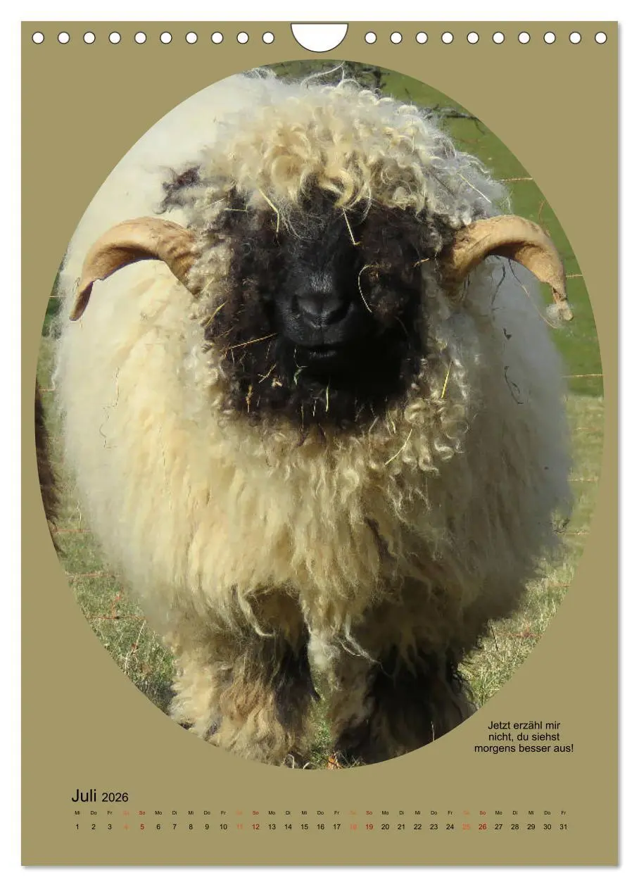 Bild: 9783516398526 | Scharfe Portraits (Wandkalender 2026 DIN A4 hoch), CALVENDO...