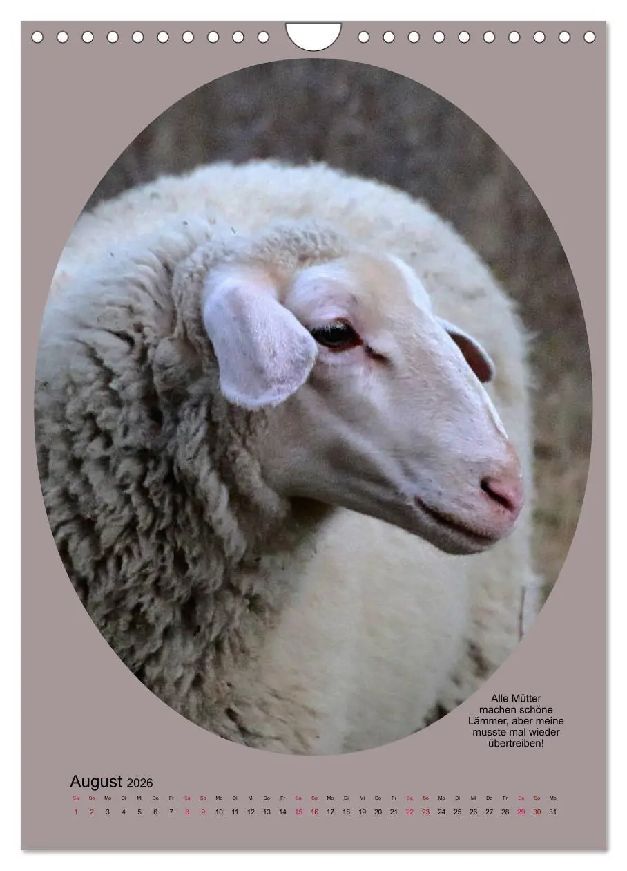 Bild: 9783516398526 | Scharfe Portraits (Wandkalender 2026 DIN A4 hoch), CALVENDO...
