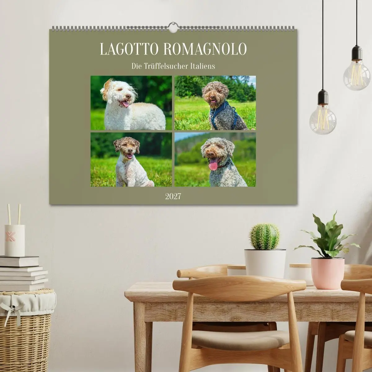 Bild: 9783594378526 | Lagotto Romagnolo - die Trüffelsucher Italiens (Wandkalender 2027...