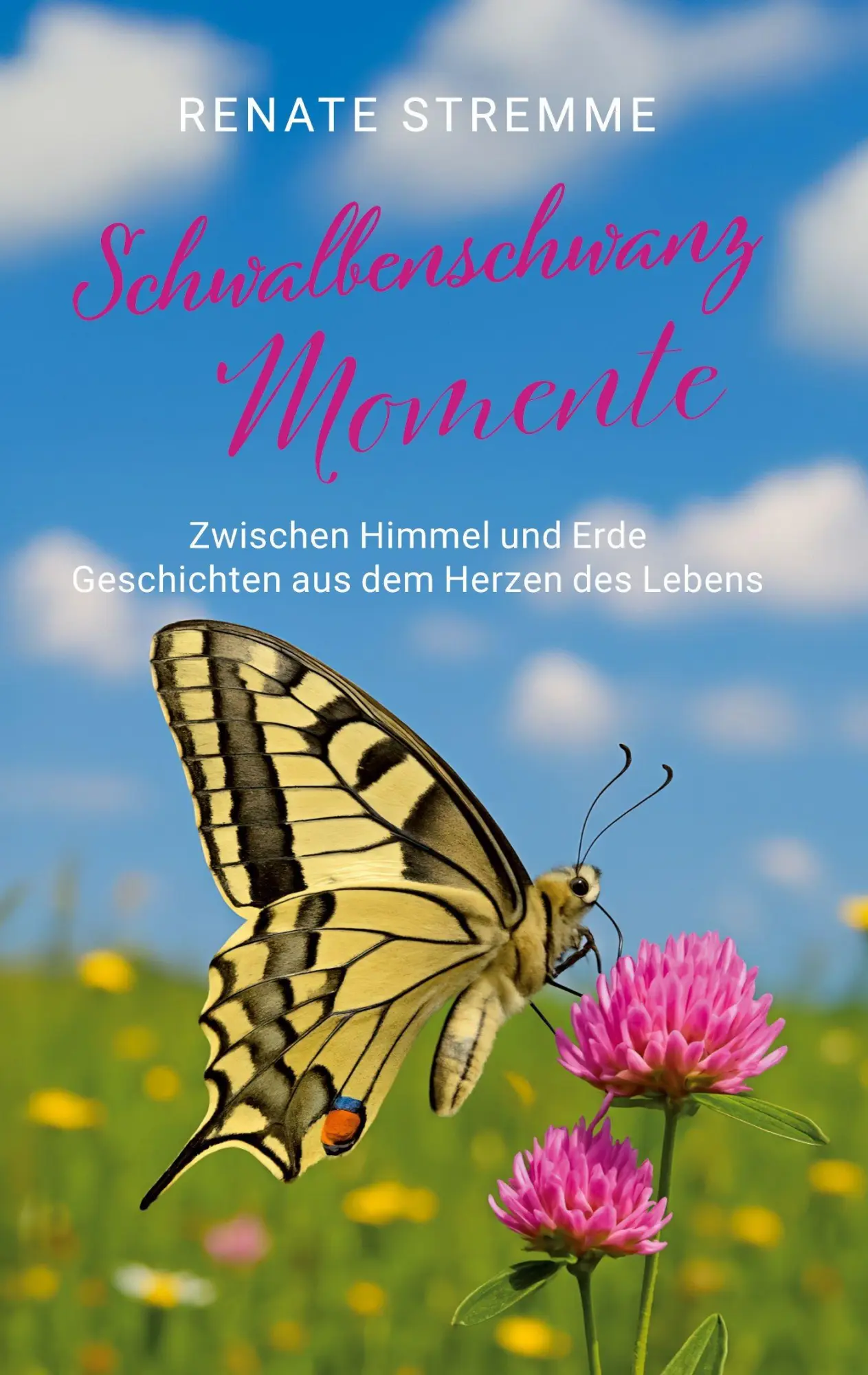 Cover: 9783695118526 | Schwalbenschwanz Momente | Renate Stremme | Taschenbuch | 128 S.