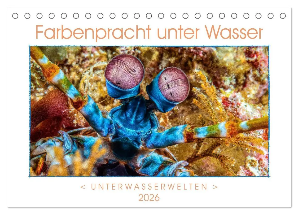 Cover: 9783457748626 | Farbenpracht unter Wasser (Tischkalender 2026 DIN A5 quer),...