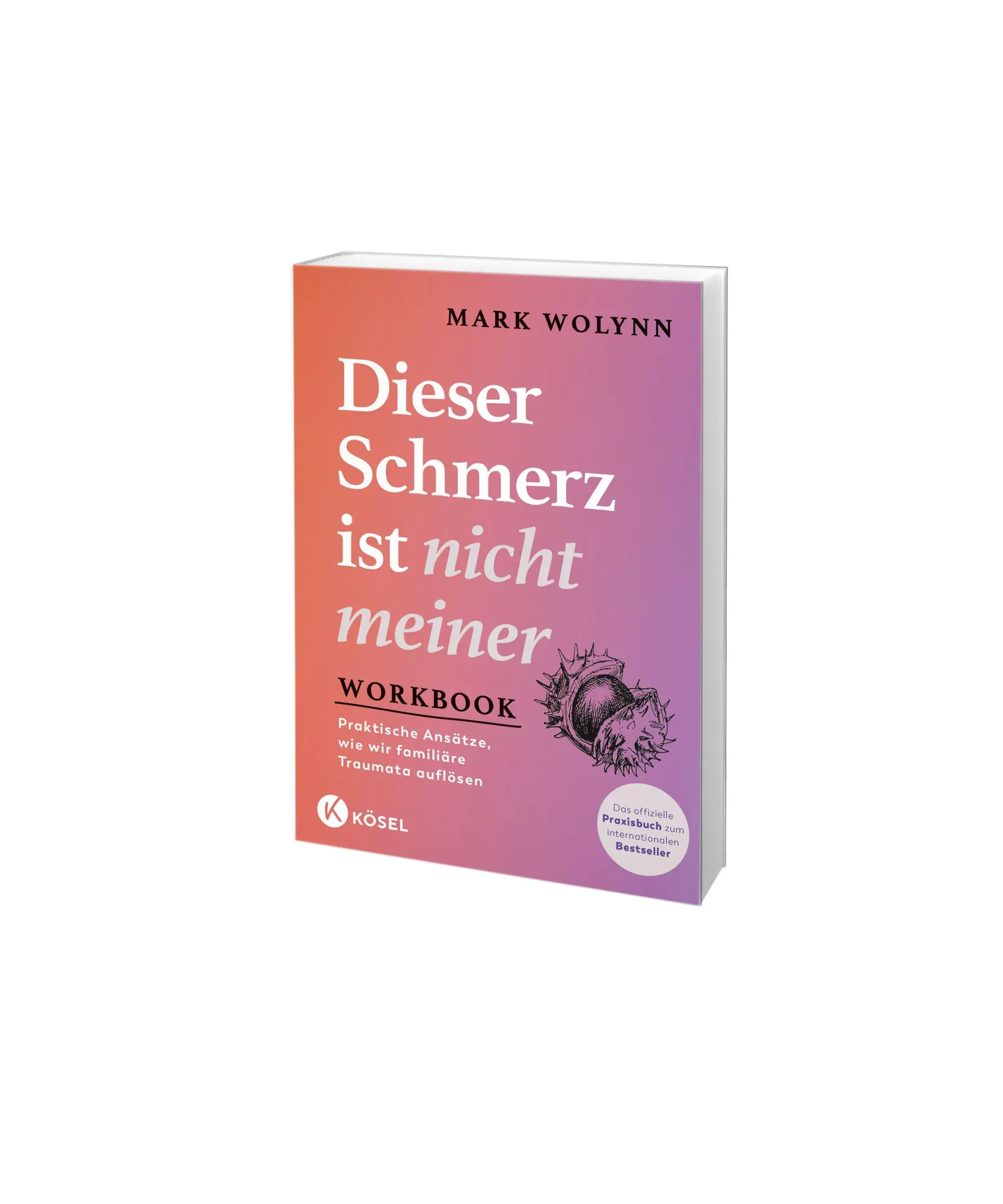 Bild: 9783466348626 | Workbook: Dieser Schmerz ist nicht meiner | Mark Wolynn | Taschenbuch