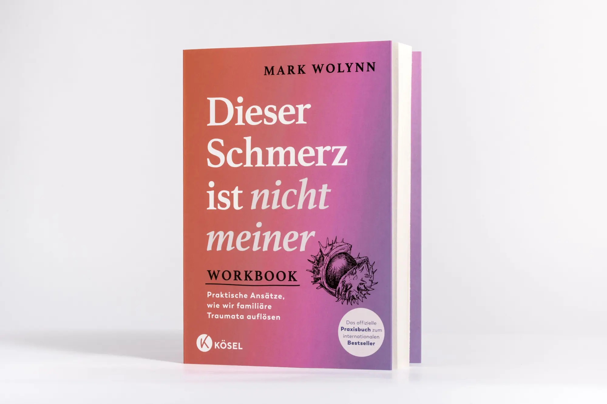 Bild: 9783466348626 | Workbook: Dieser Schmerz ist nicht meiner | Mark Wolynn | Taschenbuch