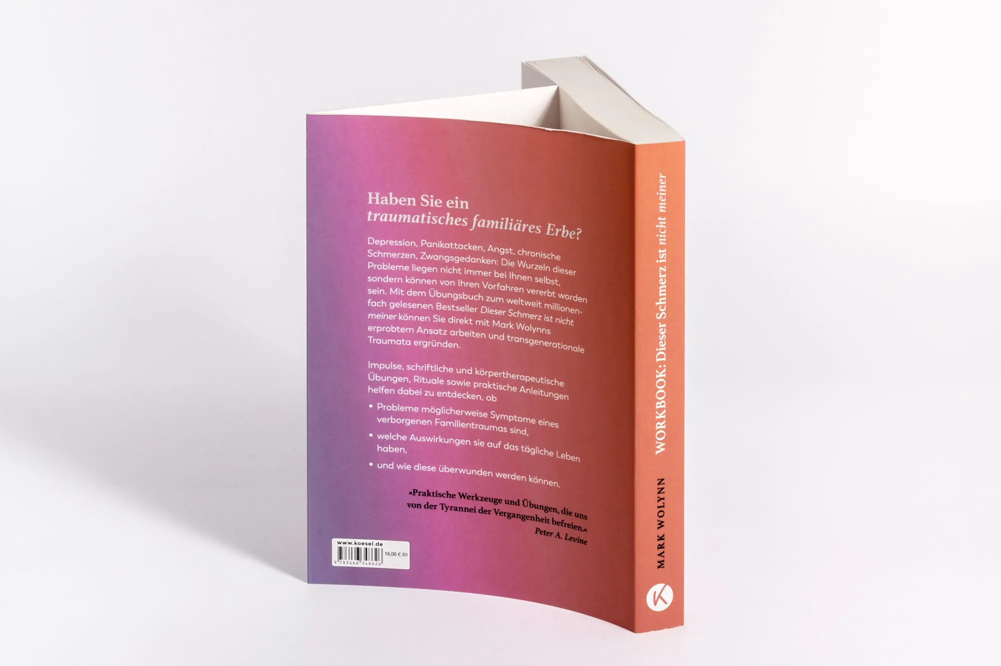 Bild: 9783466348626 | Workbook: Dieser Schmerz ist nicht meiner | Mark Wolynn | Taschenbuch