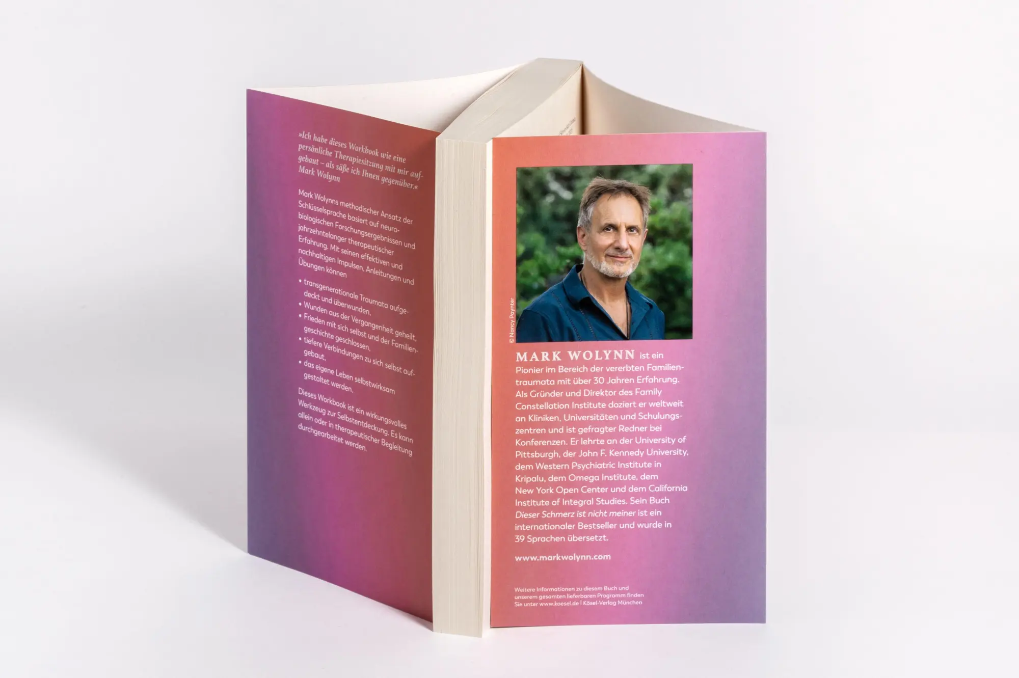 Bild: 9783466348626 | Workbook: Dieser Schmerz ist nicht meiner | Mark Wolynn | Taschenbuch