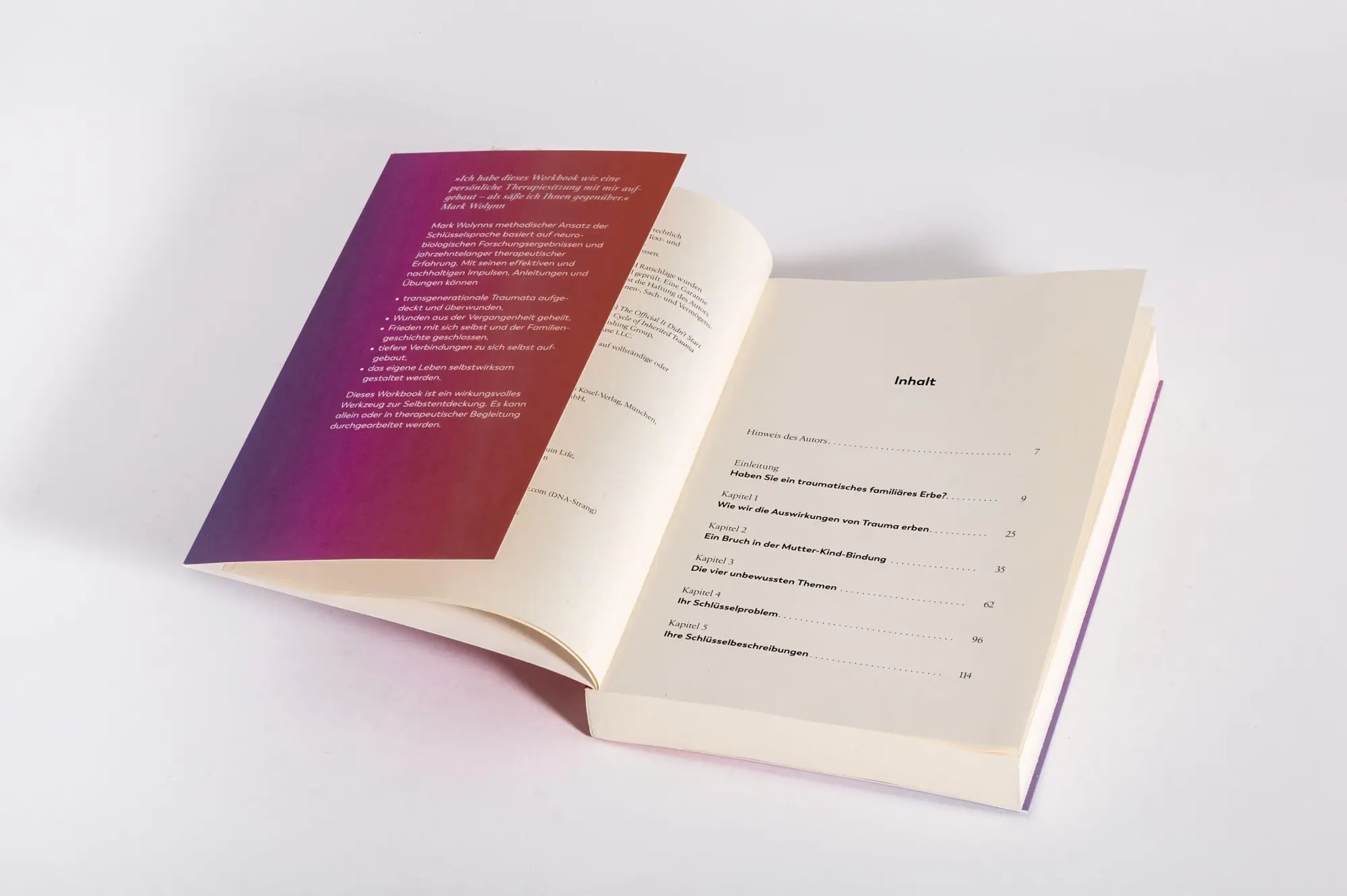 Bild: 9783466348626 | Workbook: Dieser Schmerz ist nicht meiner | Mark Wolynn | Taschenbuch