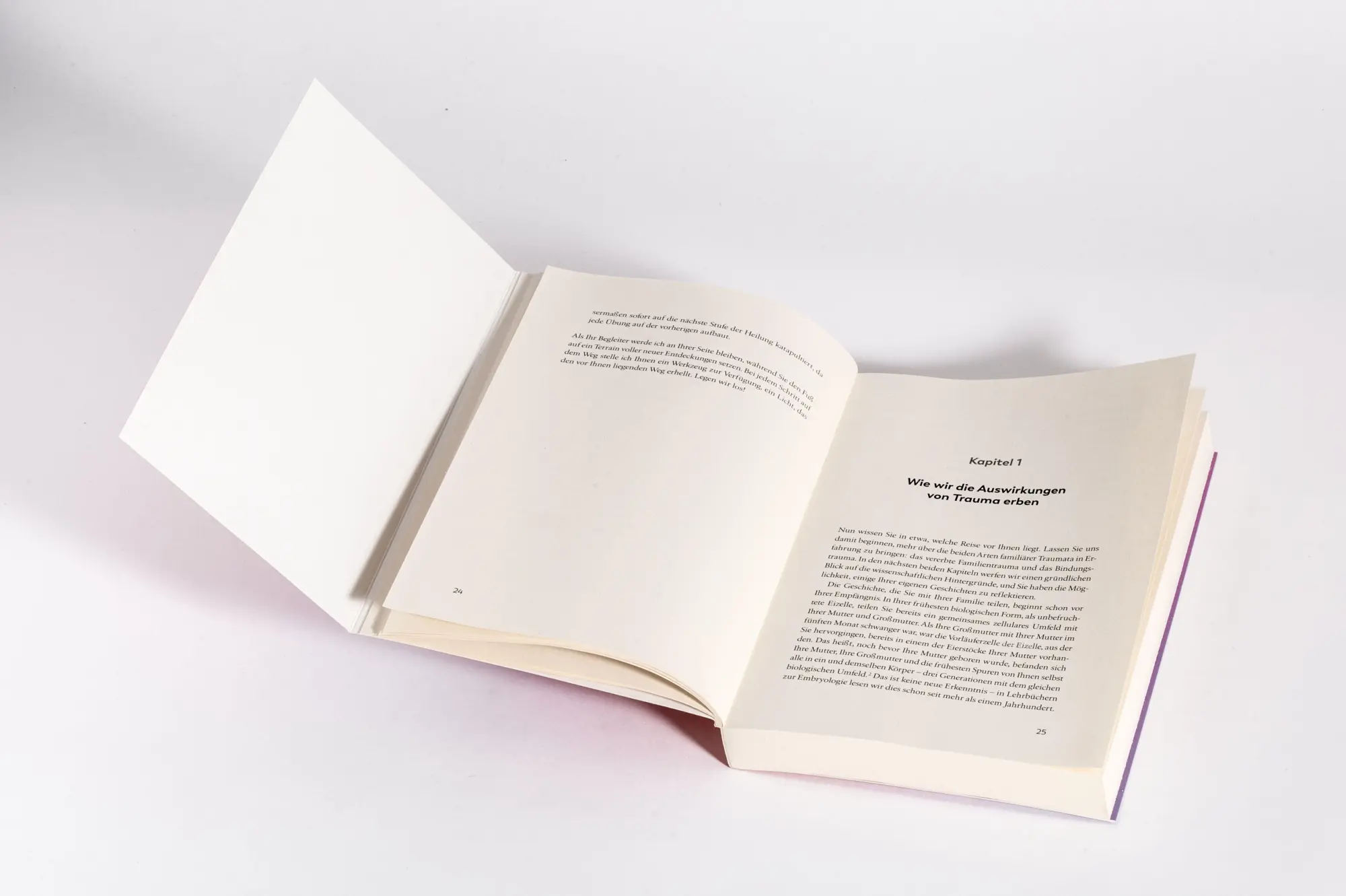 Bild: 9783466348626 | Workbook: Dieser Schmerz ist nicht meiner | Mark Wolynn | Taschenbuch