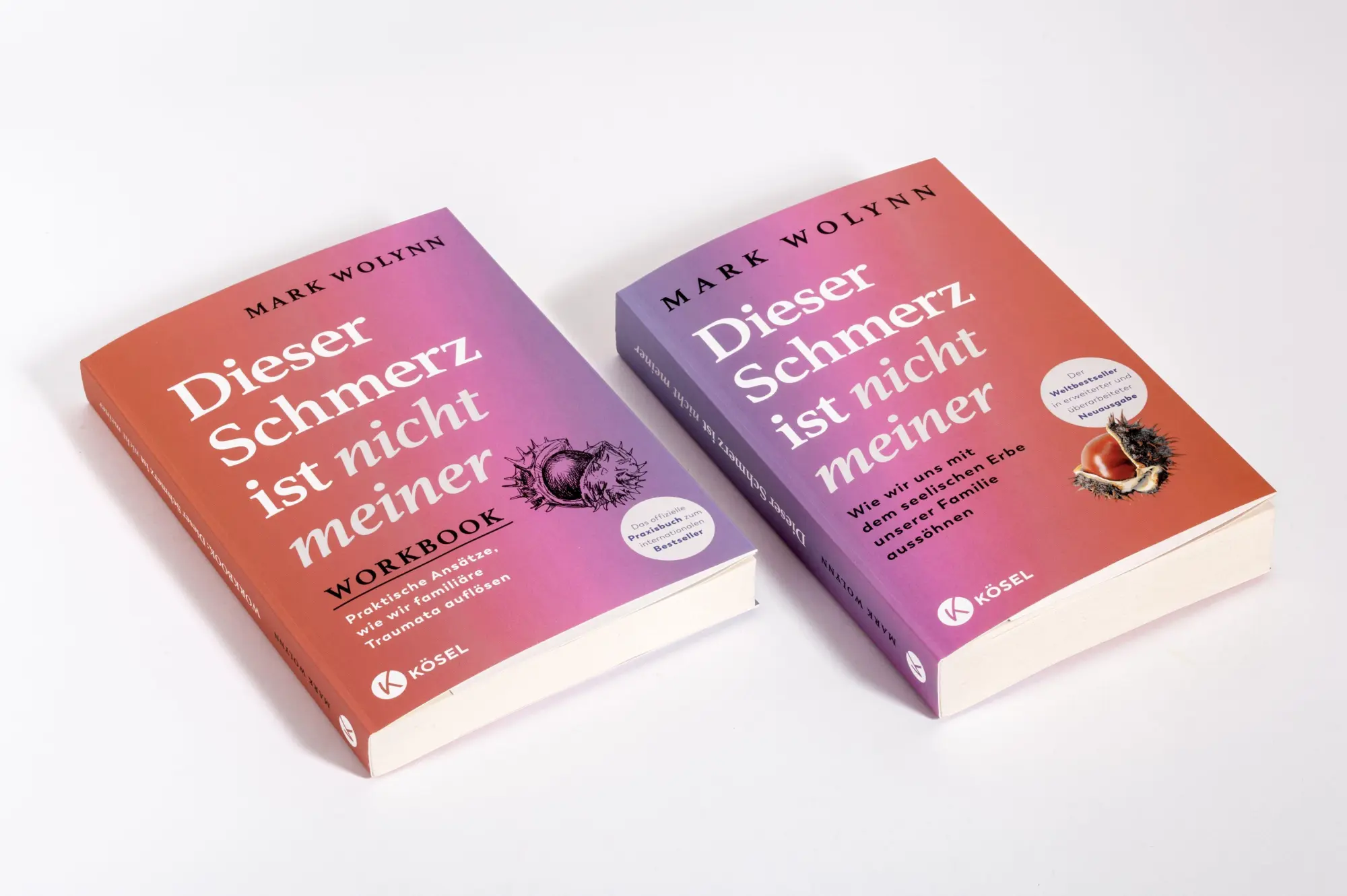 Bild: 9783466348626 | Workbook: Dieser Schmerz ist nicht meiner | Mark Wolynn | Taschenbuch