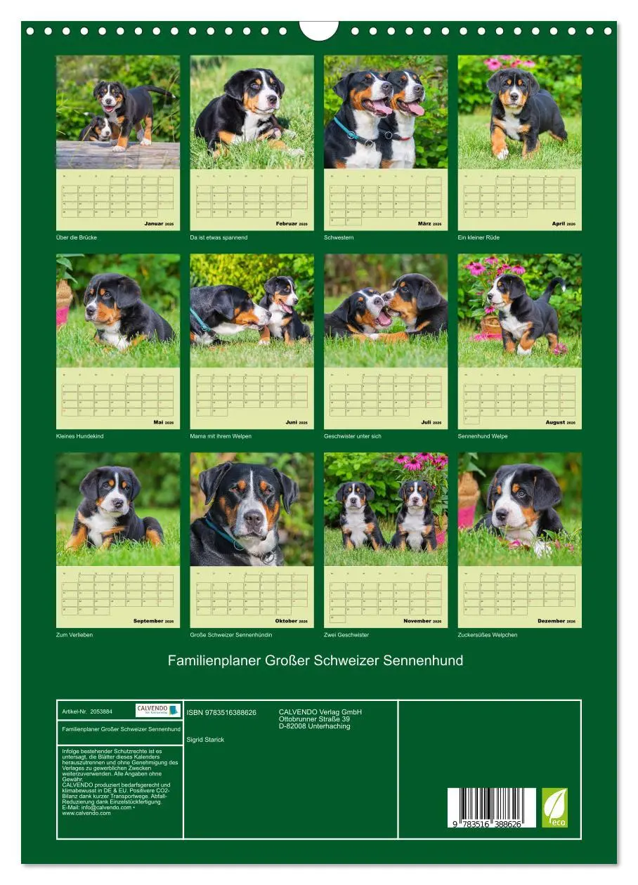 Bild: 9783516388626 | Familienplaner Großer Schweizer Sennenhund (Wandkalender 2026 DIN...