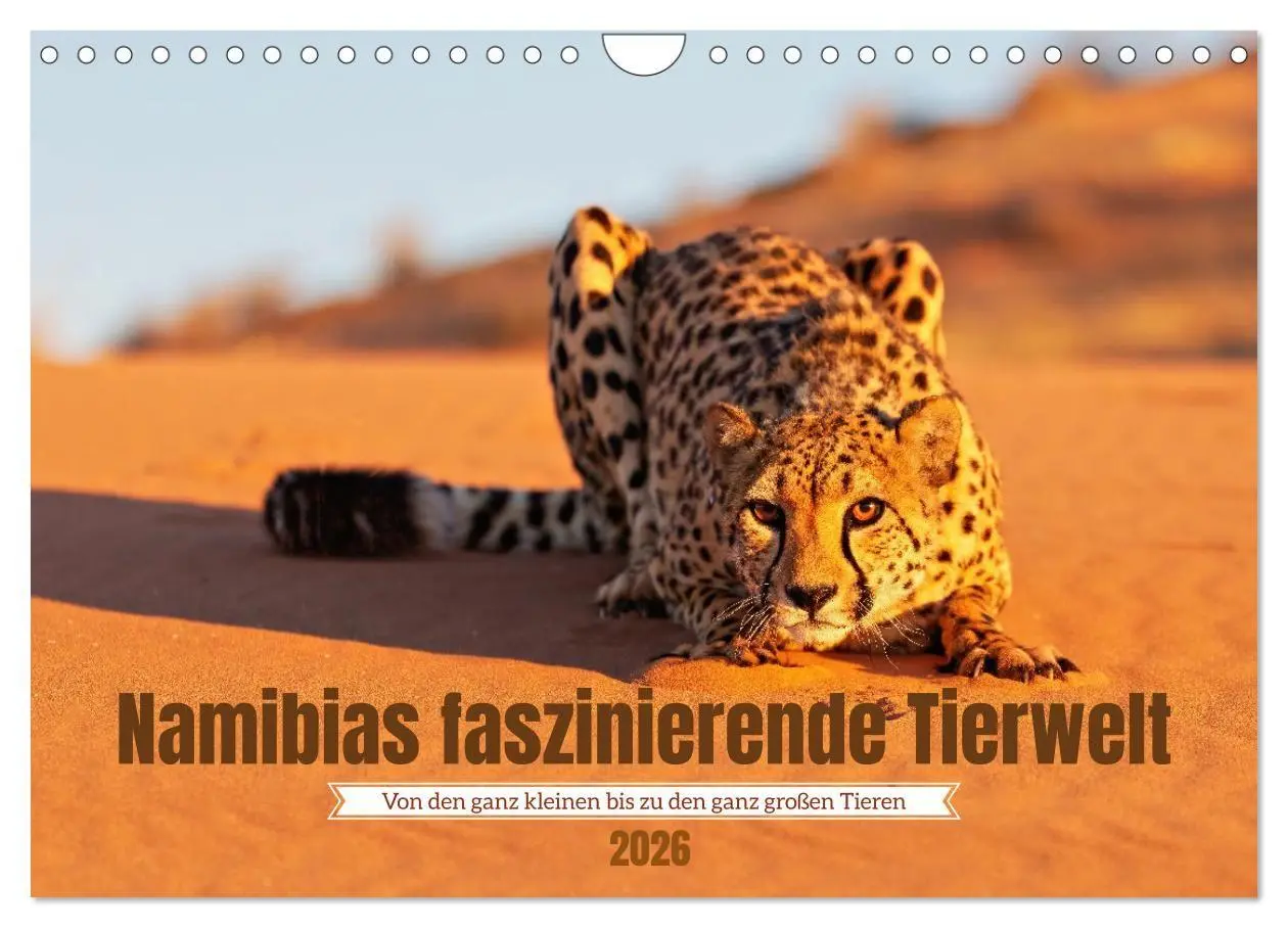 Cover: 9783516698626 | Namibias faszinierende Tierwelt (Wandkalender 2026 DIN A4 quer),...