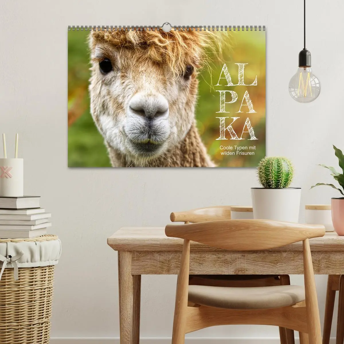 Bild: 9783457598726 | Alpaka, coole Typen mit wilden Frisuren (Wandkalender 2026 DIN A3...