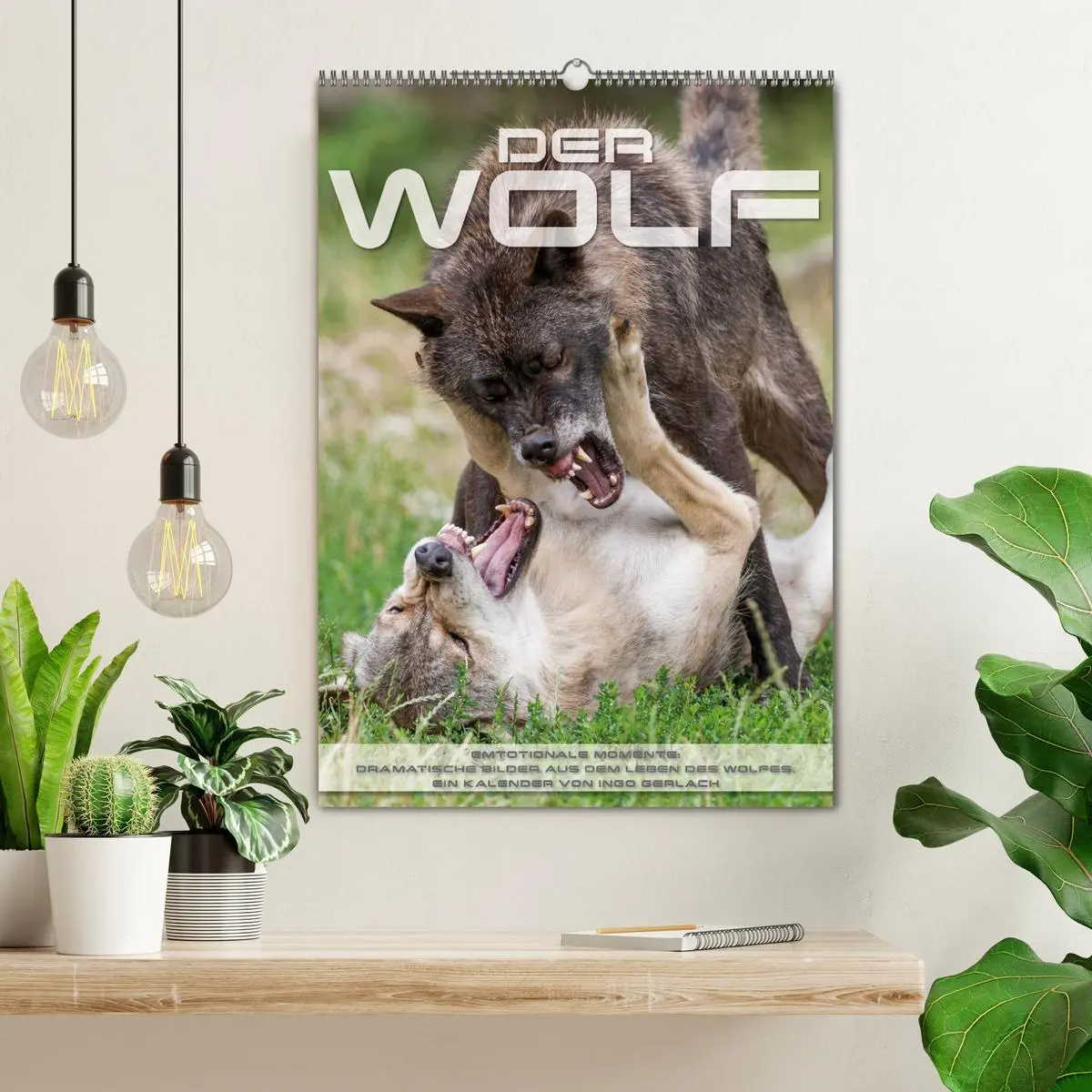 Bild: 9783516448726 | Emotionale Momente: Der Wolf. (Wandkalender 2026 DIN A2 hoch),...