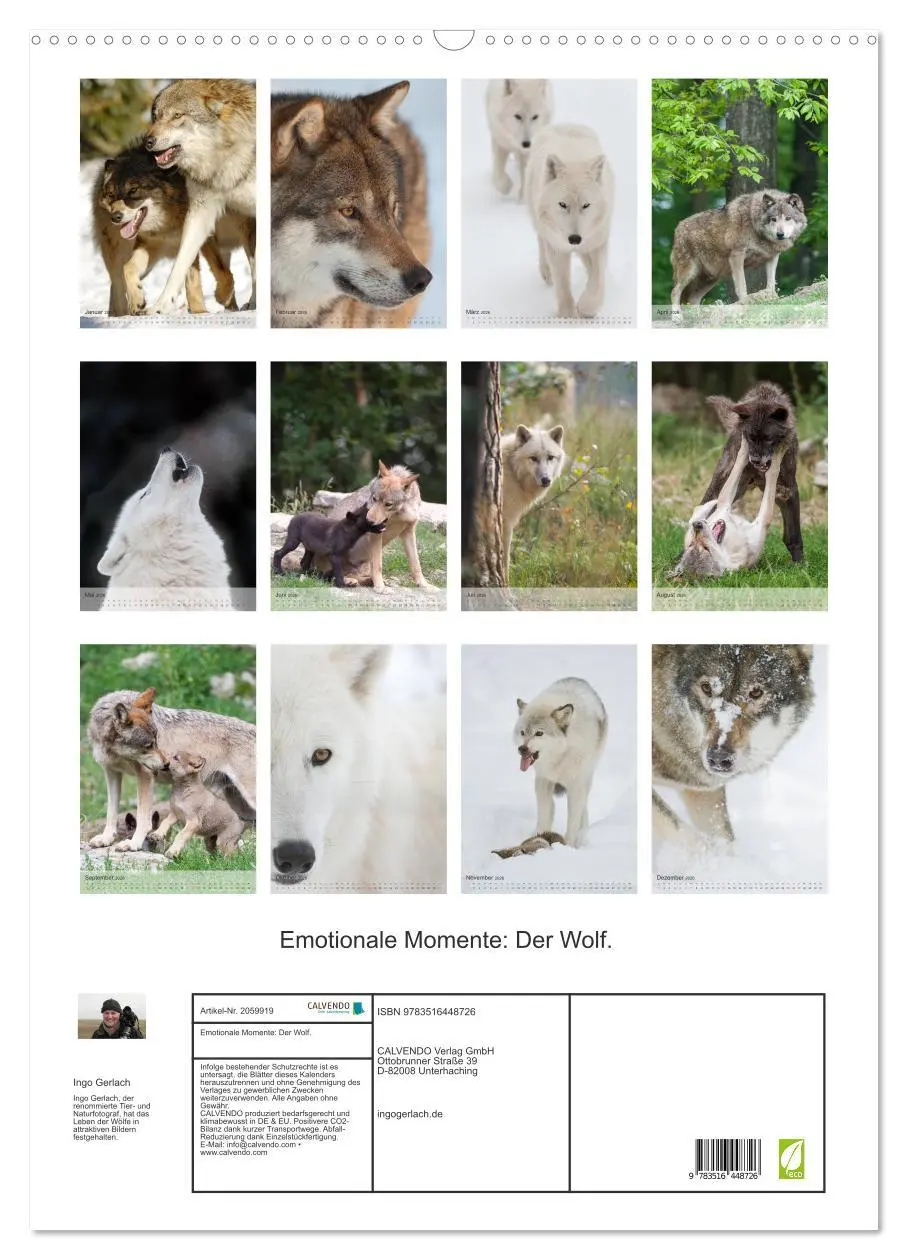Bild: 9783516448726 | Emotionale Momente: Der Wolf. (Wandkalender 2026 DIN A2 hoch),...