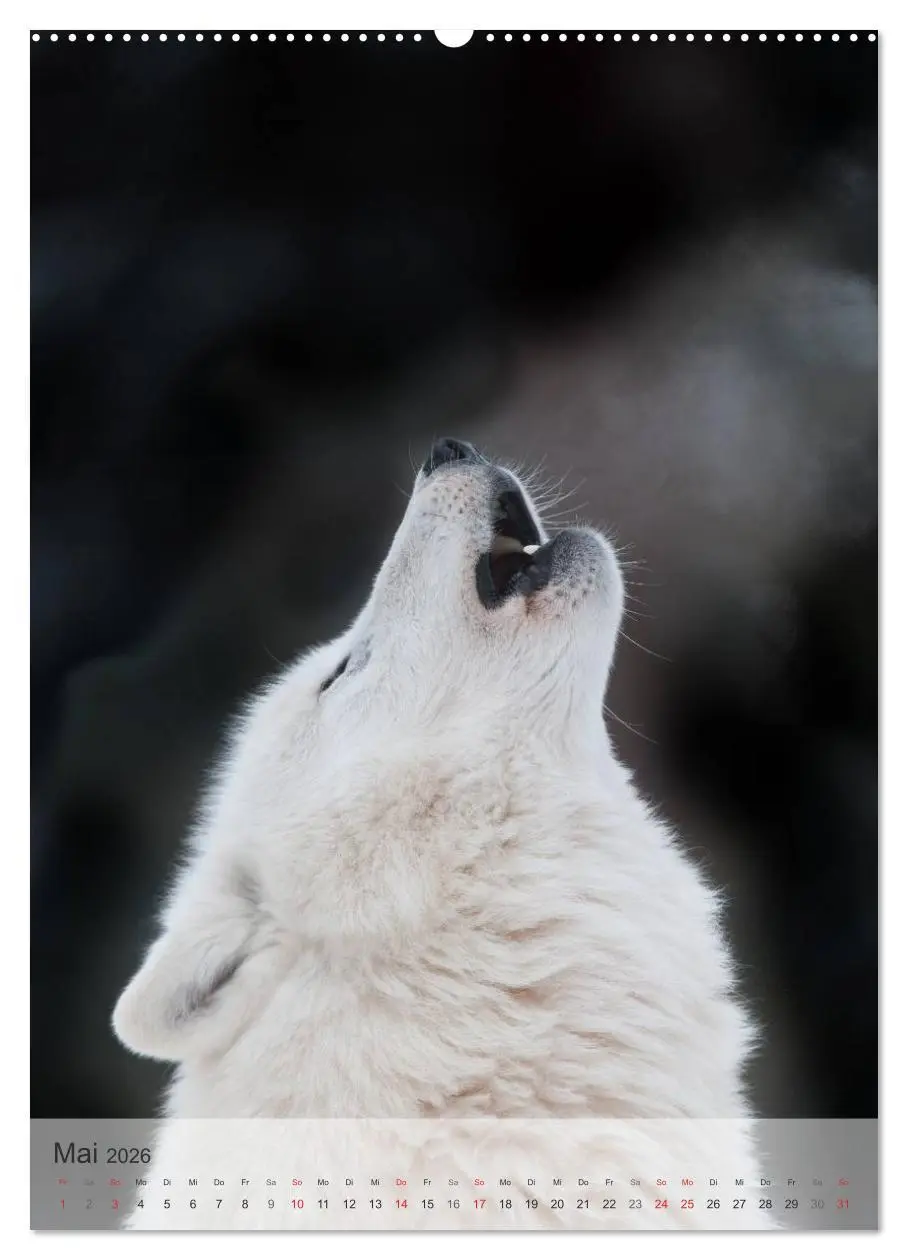 Bild: 9783516448726 | Emotionale Momente: Der Wolf. (Wandkalender 2026 DIN A2 hoch),...