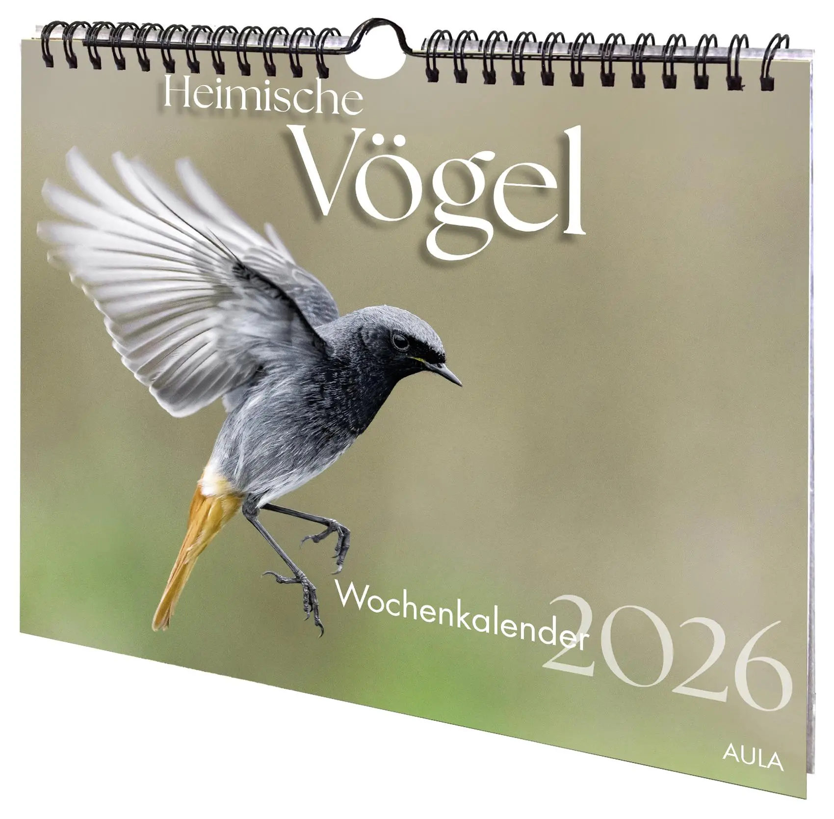 Cover: 9783891048726 | Heimische Vögel 2026 | Wochenkalender | AULA-Verlag | Kalender | 53 S.