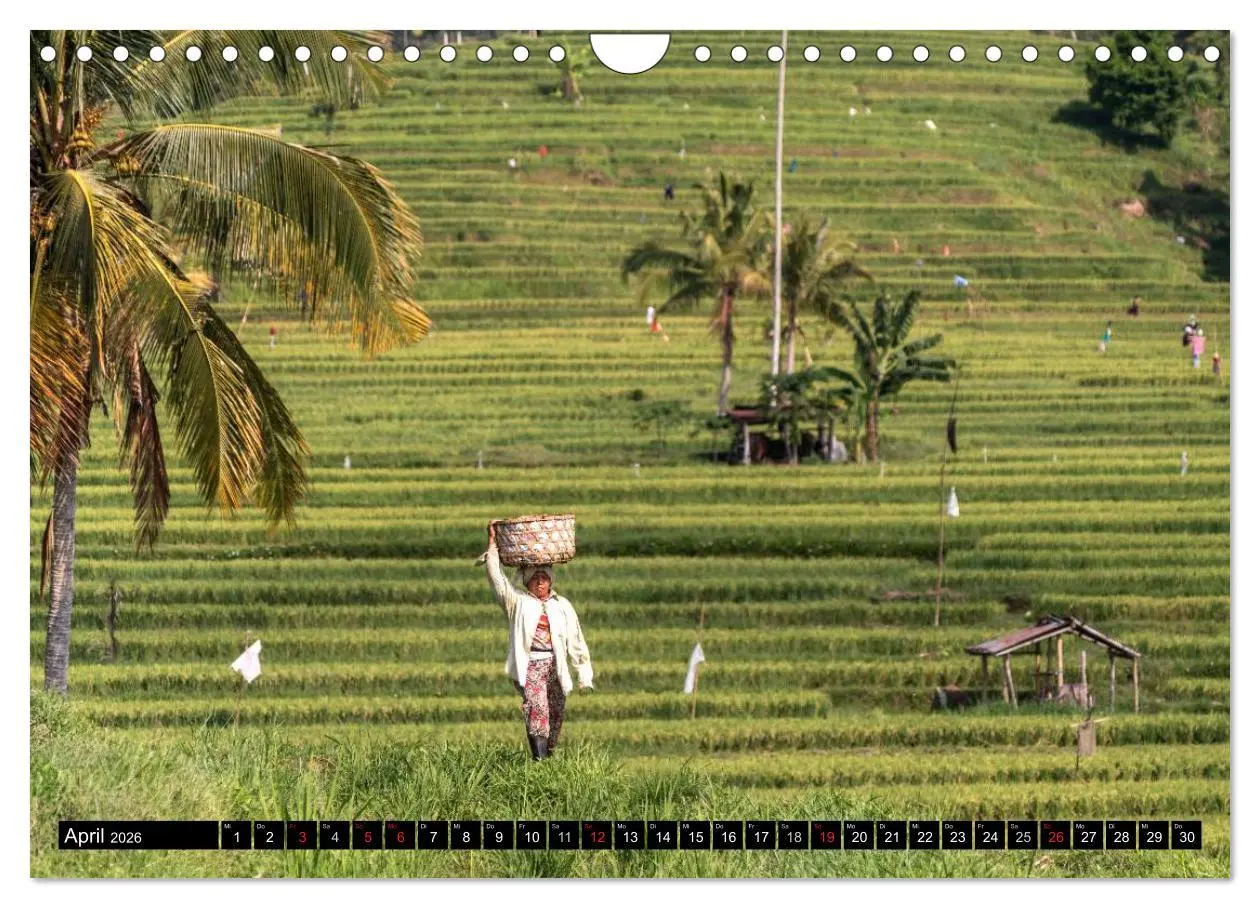 Bild: 9783457968826 | Bali - Indonesien (Wandkalender 2026 DIN A4 quer), CALVENDO...