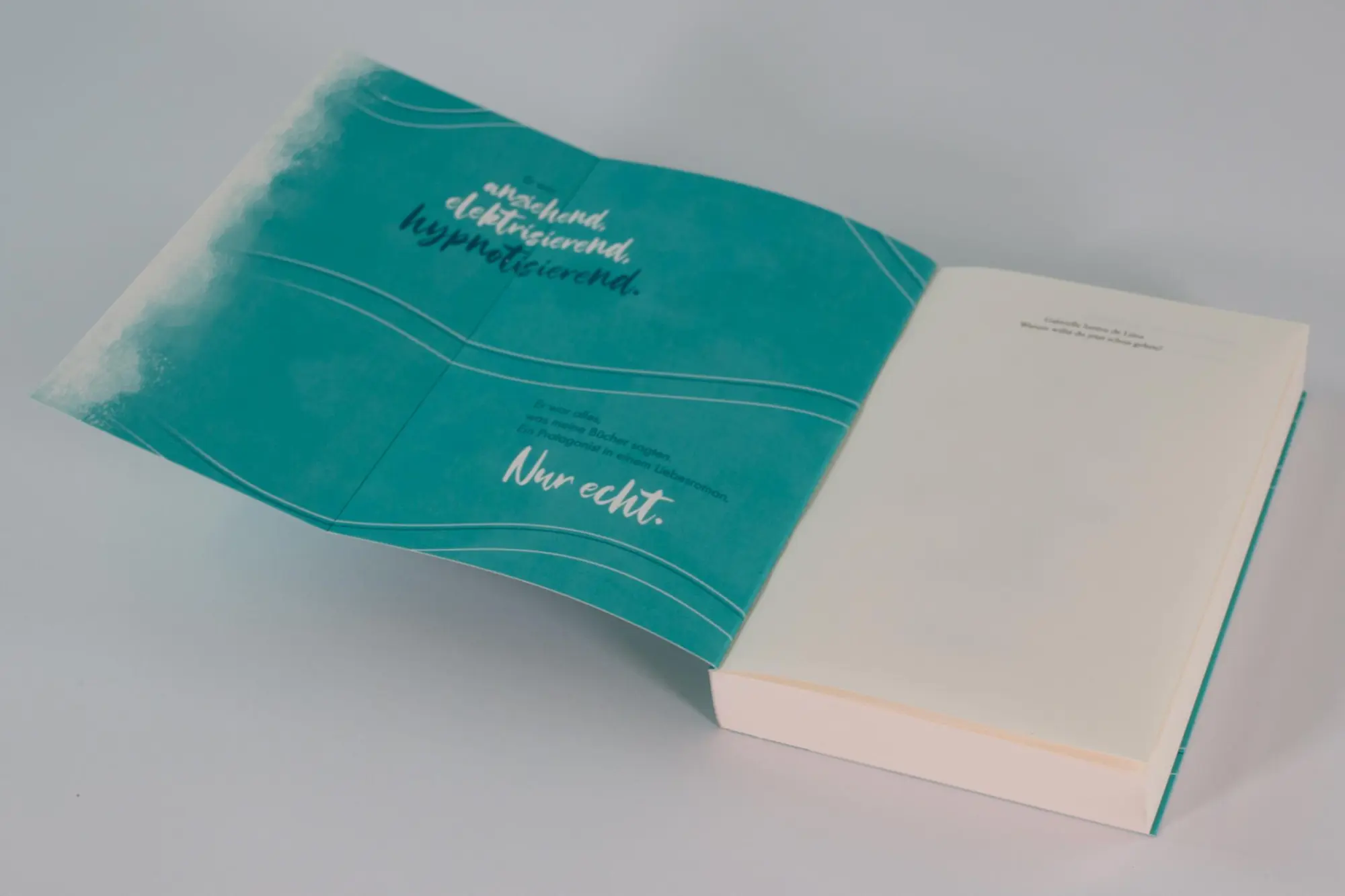 Bild: 9783743218826 | Warum willst du jetzt schon gehen? | Gabriella Santos de Lima | Buch