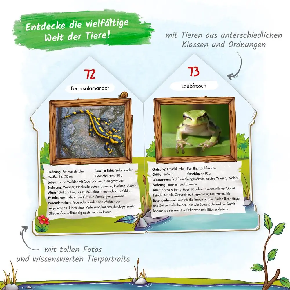 Bild: 9783965528826 | Trötsch 101 Heimische Tiere, die du kennen solltest | Co.KG | Buch