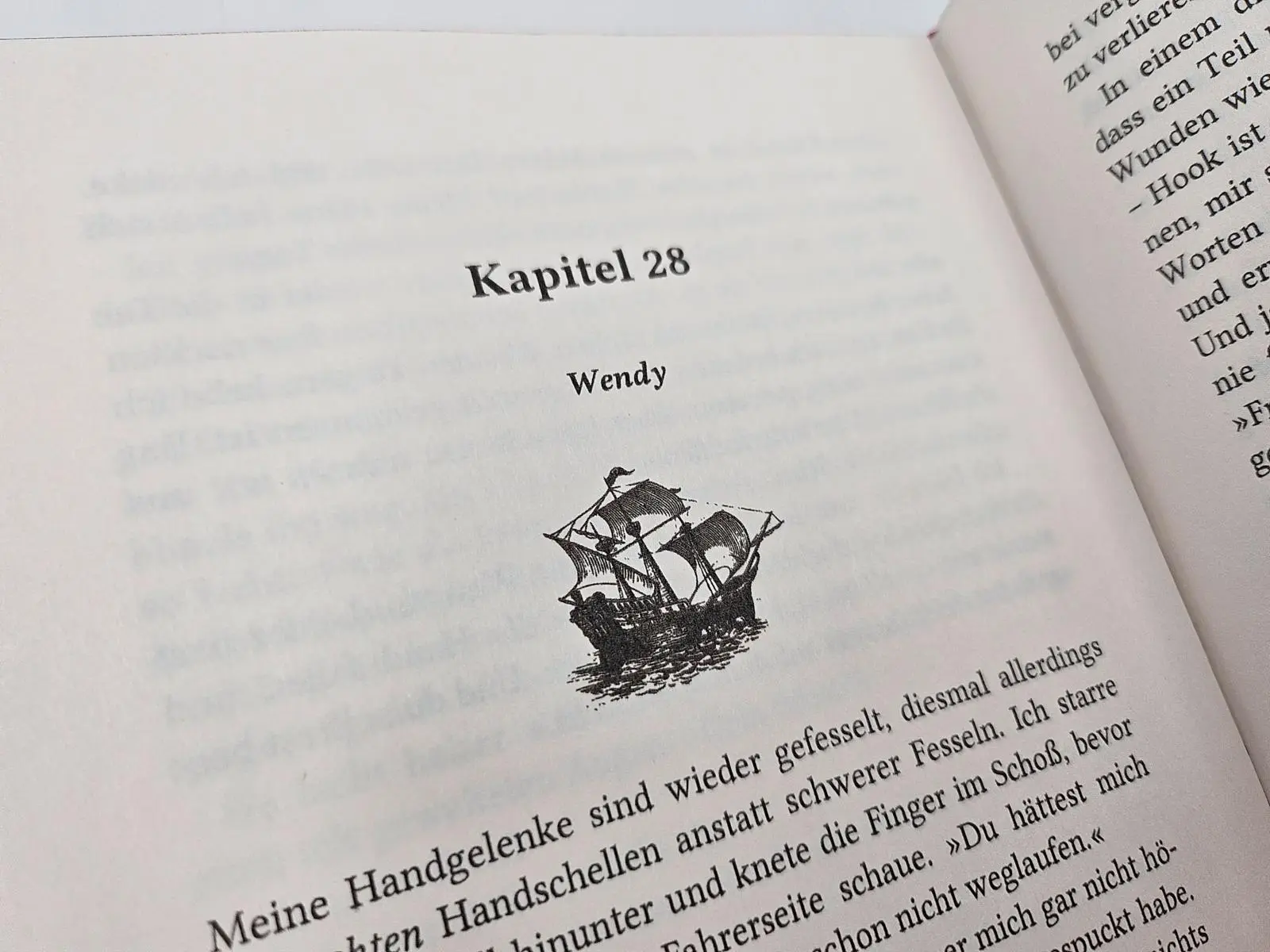 Bild: 9783492508926 | Hooked (Sonderausgabe) | Emily McIntire | Buch | Never After | 336 S.