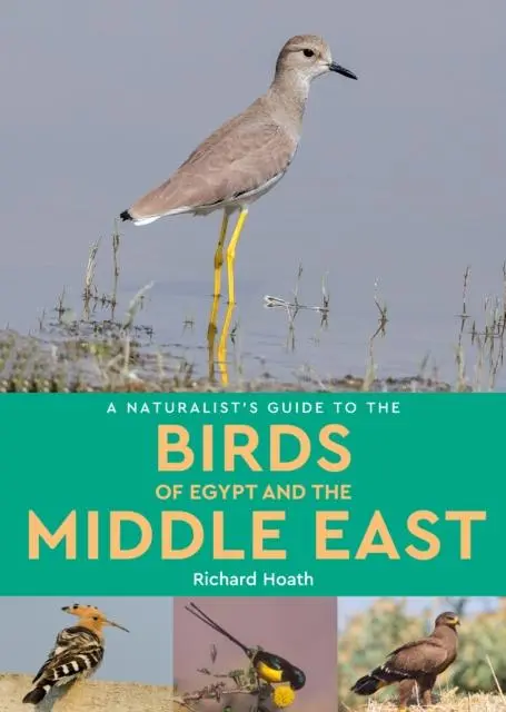 Cover: 9781913679026 | A Naturalist's Guide to the Birds of Egypt and the Middle East | Hoath