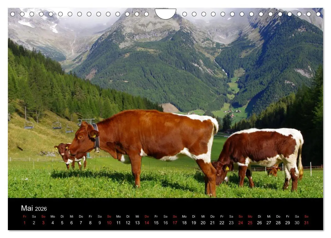 Bild: 9783516179026 | Südtirol 2026 (Wandkalender 2026 DIN A4 quer), CALVENDO Monatskalender