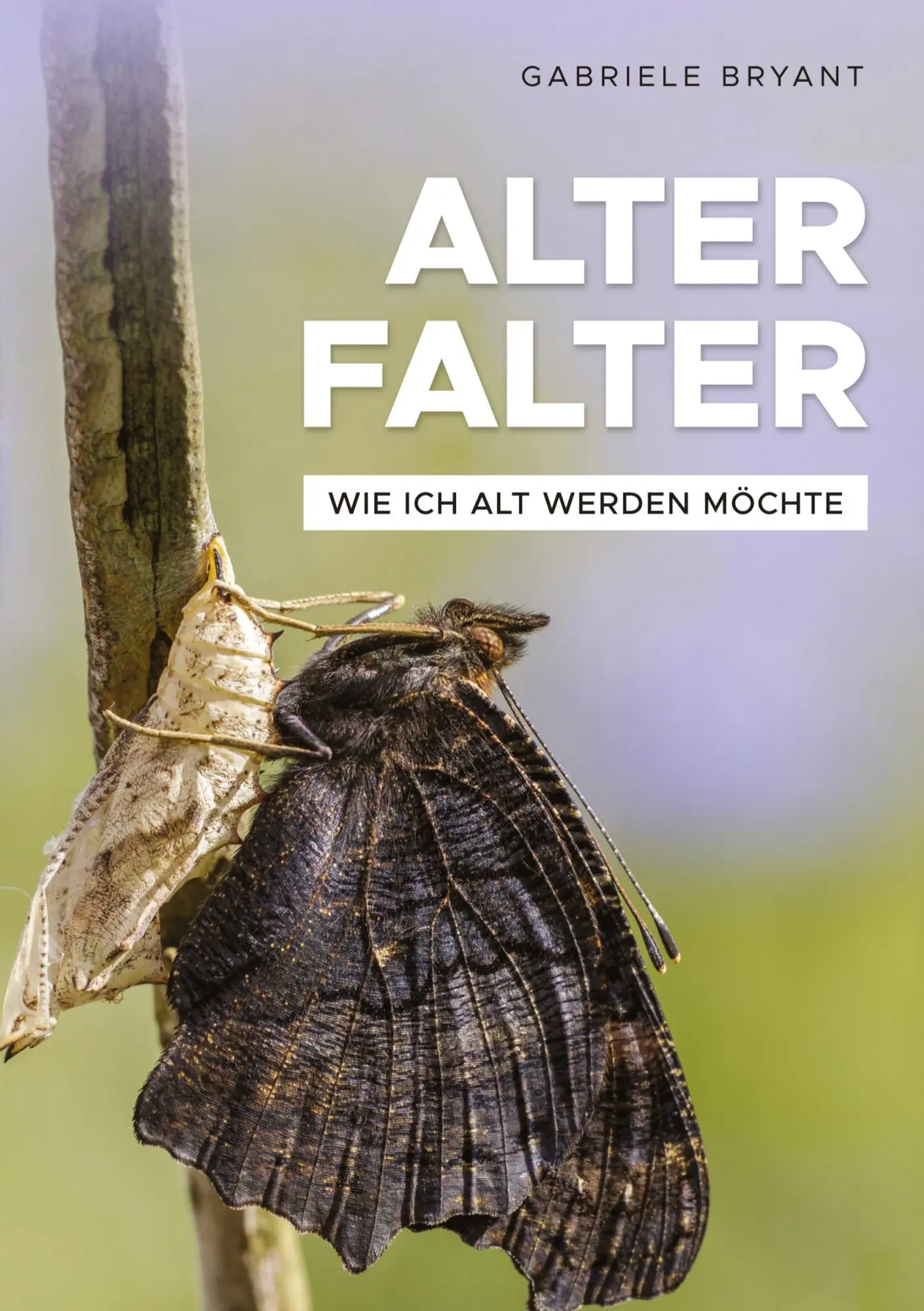Cover: 9783347639126 | Alter Falter | Wie ich alt werden möchte | Gabriele Bryant | Buch