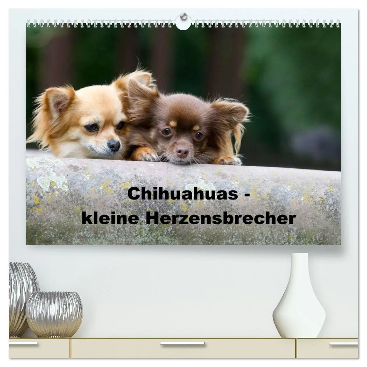 Cover: 9783516169126 | Chihuahuas - kleine Herzensbrecher (hochwertiger Premium...